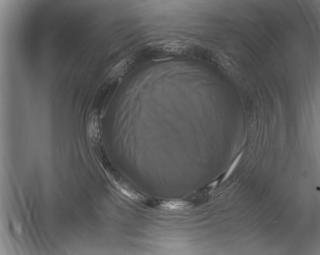 X0000051240137200507082134