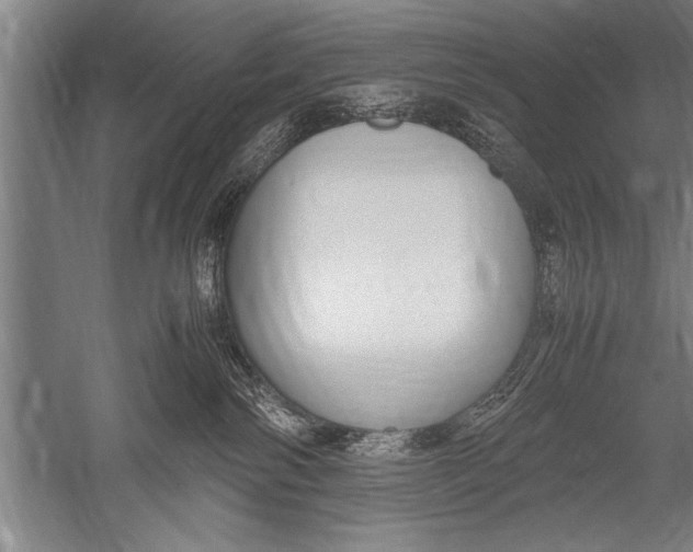 X0000051240138200507082134