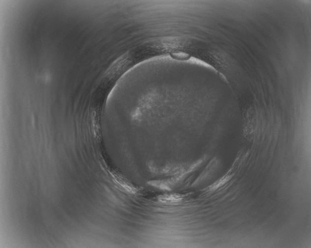 X0000051240140200507082134