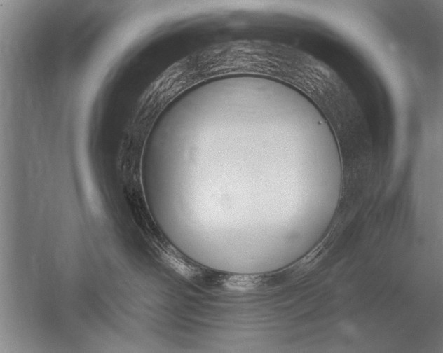 X0000051240142200507082134