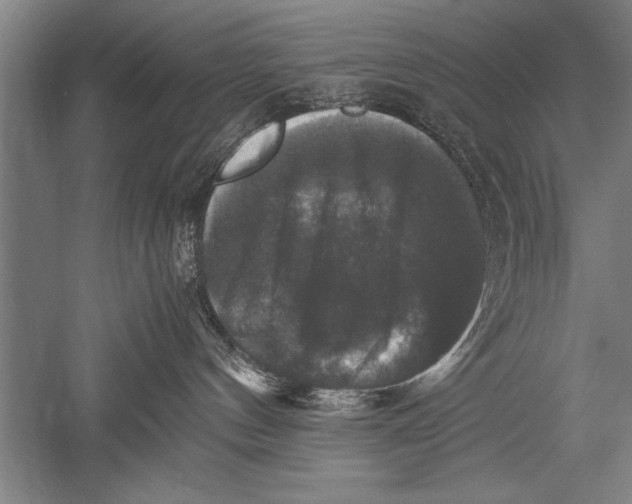 X0000051240144200507082134