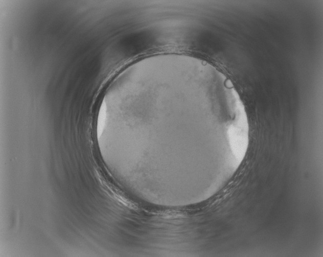 X0000051240146200507082133