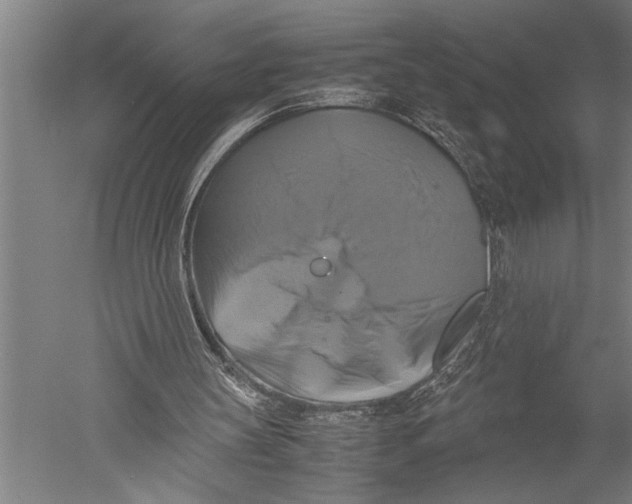 X0000051240147200507082133