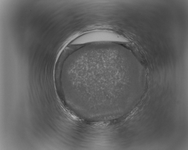 X0000051240148200507082133