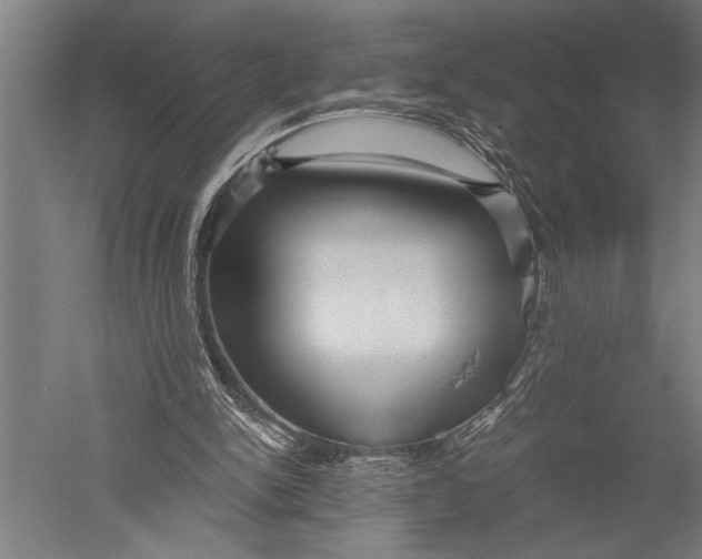 X0000051240150200507082133