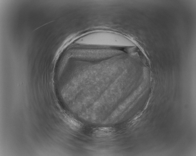 X0000051240151200507082133