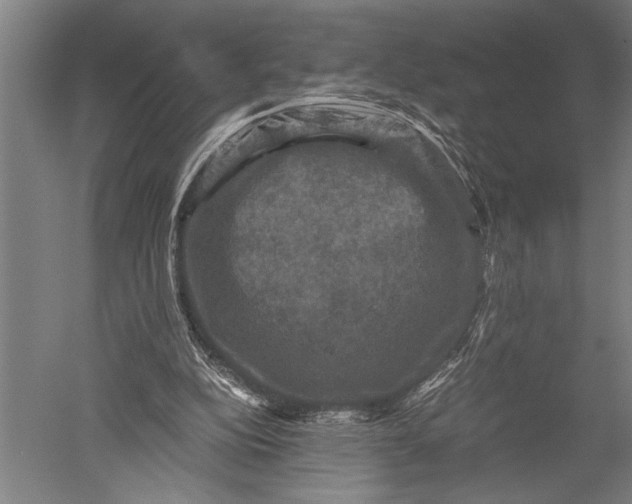 X0000051240152200507082133