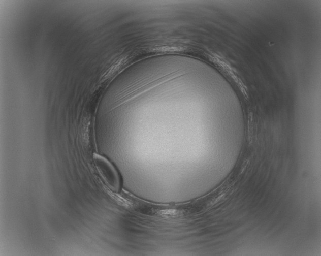 X0000051240153200507082133