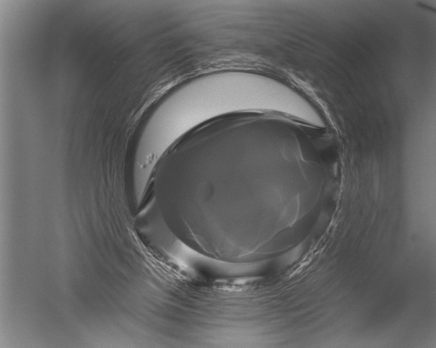 X0000051240154200507082133