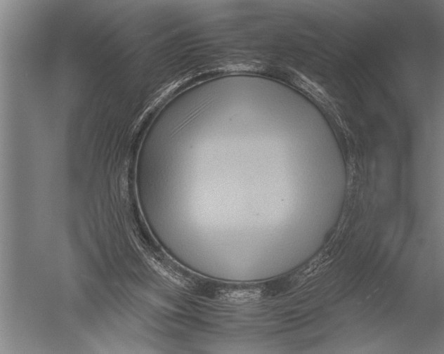 X0000051240155200507082133