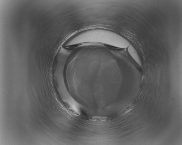 X0000051240156200507082133