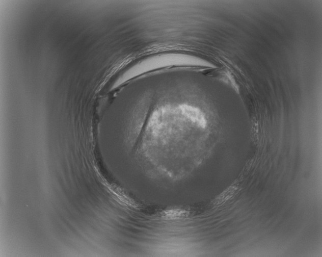 X0000051240158200507082133