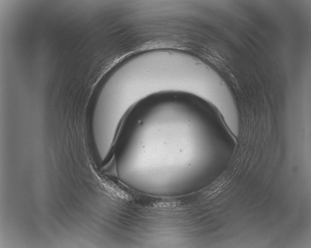 X0000051240160200507082133