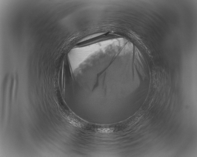 X0000051240161200507082133