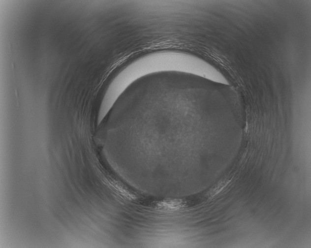 X0000051240164200507082133