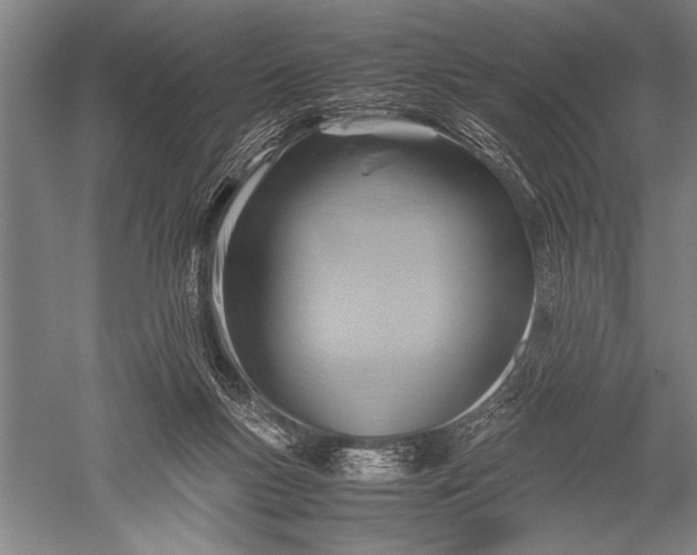 X0000051240167200507082133