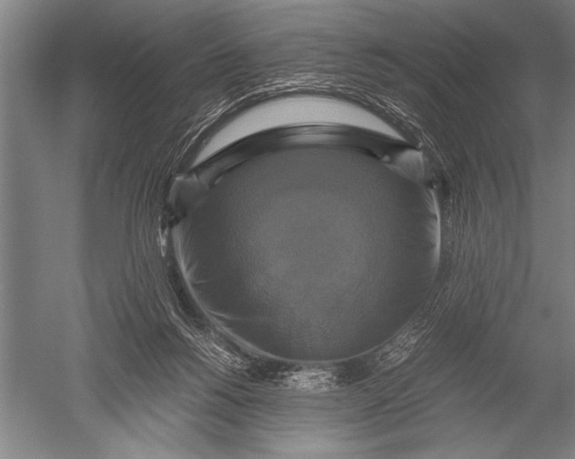 X0000051240168200507082133