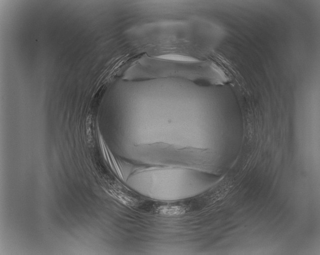 X0000051240169200507082133