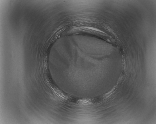 X0000051240170200507082133