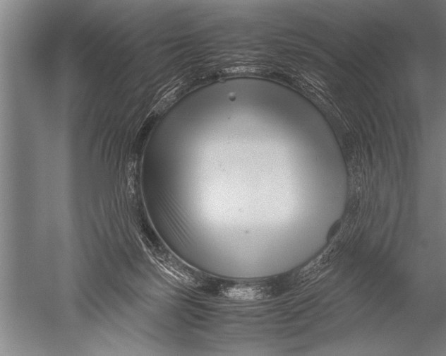 X0000051240171200507082133