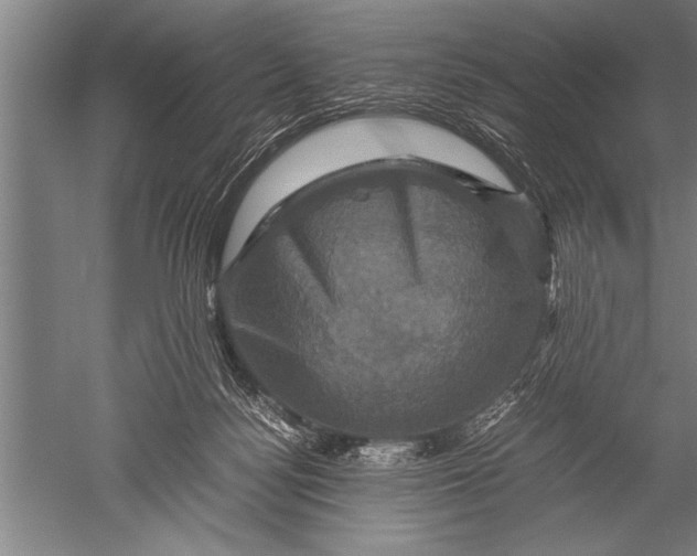 X0000051240172200507082133