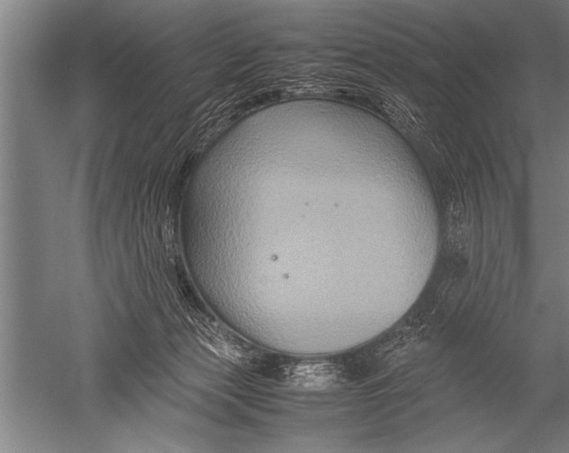 X0000051240173200507082133