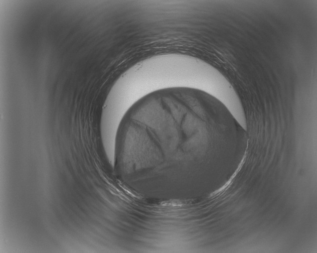 X0000051240174200507082133