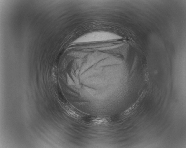 X0000051240175200507082133