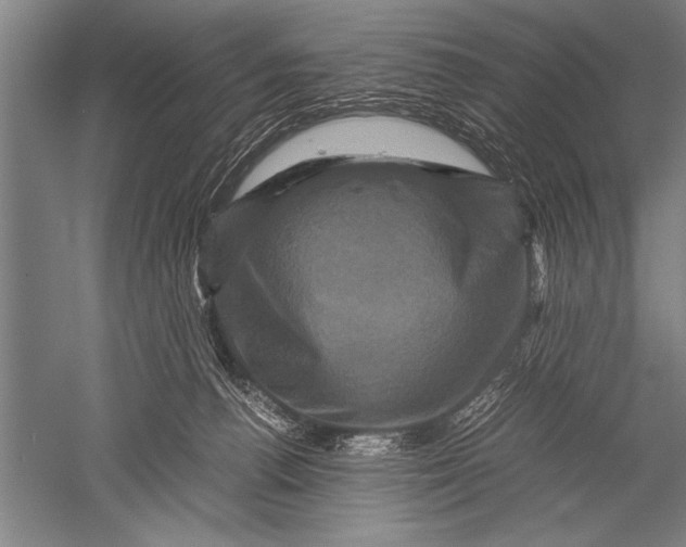 X0000051240176200507082133