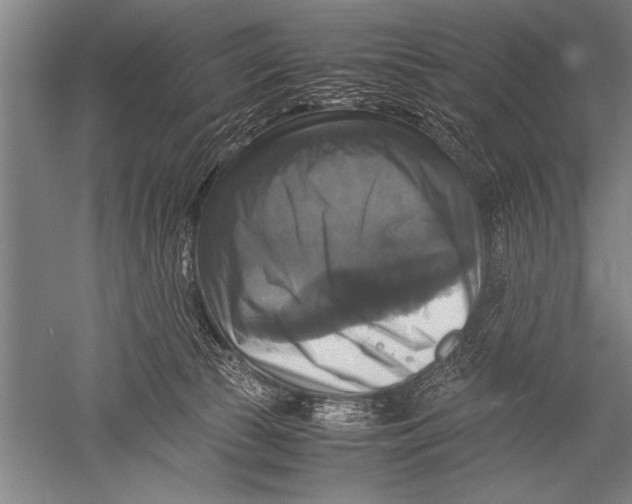 X0000051240177200507082133