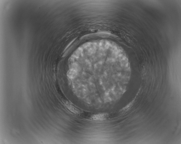 X0000051240178200507082133