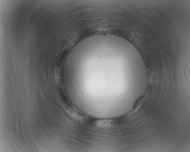 X0000051240179200507082134