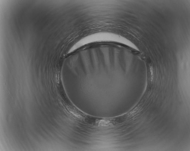 X0000051240180200507082134