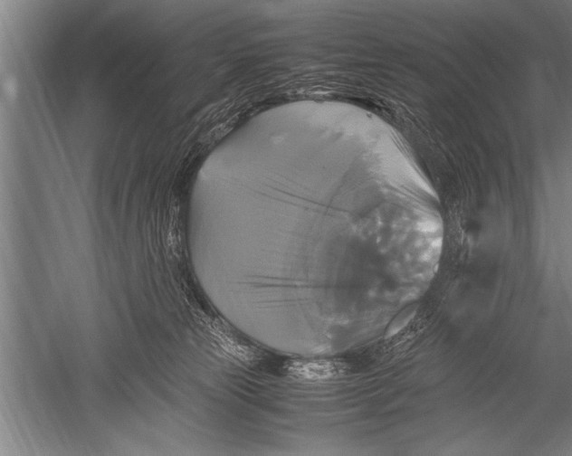 X0000051240181200507082134