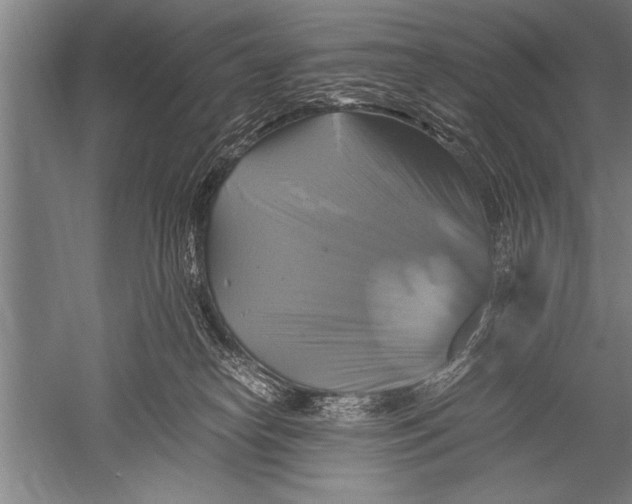 X0000051240182200507082134