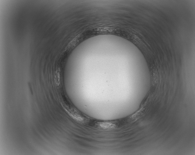 X0000051240183200507082134