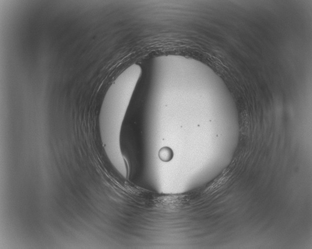 X0000051240184200507082134