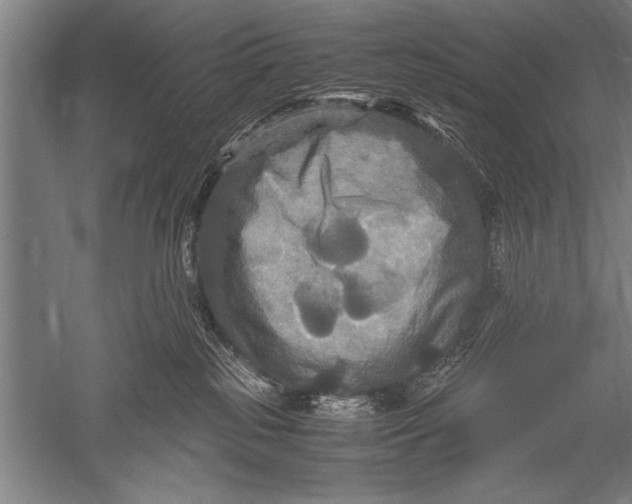 X0000051240185200507082134