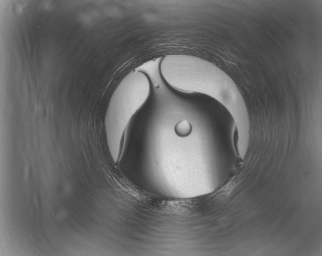 X0000051240188200507082134