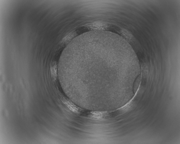 X0000051240190200507082134