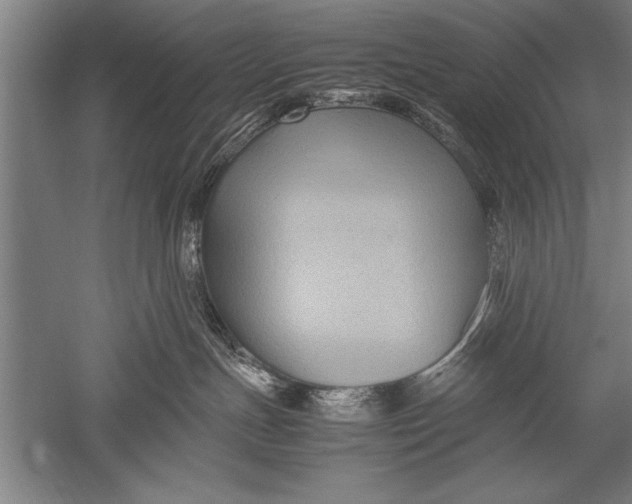 X0000051240191200507082134