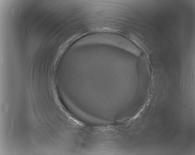 X0000051240193200507082133