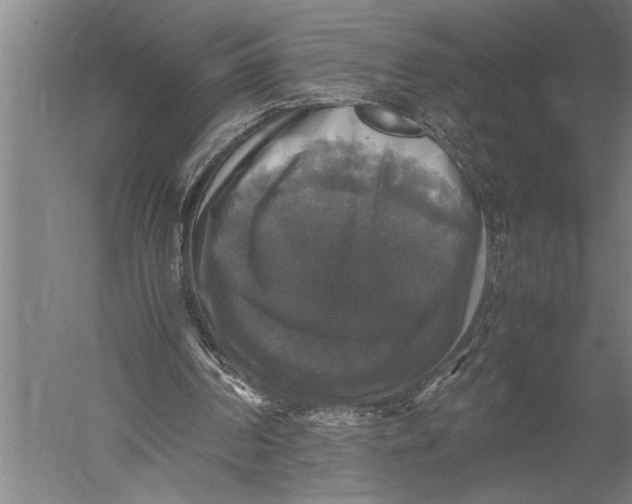 X0000051240194200507082133