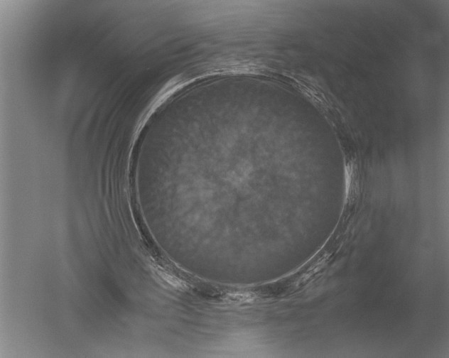 X0000051240195200507082133