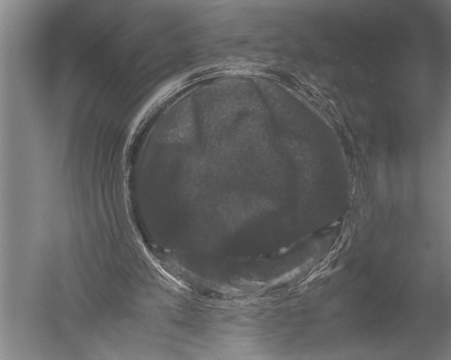 X0000051240197200507082133