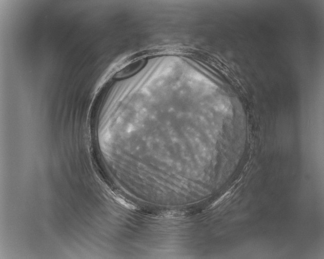 X0000051240198200507082133