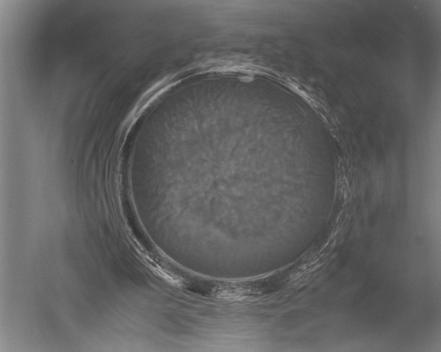 X0000051240199200507082133