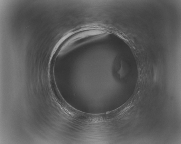 X0000051240200200507082133