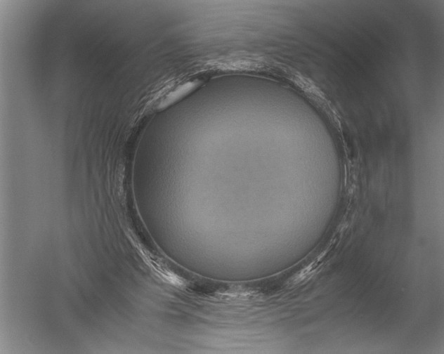 X0000051240201200507082133