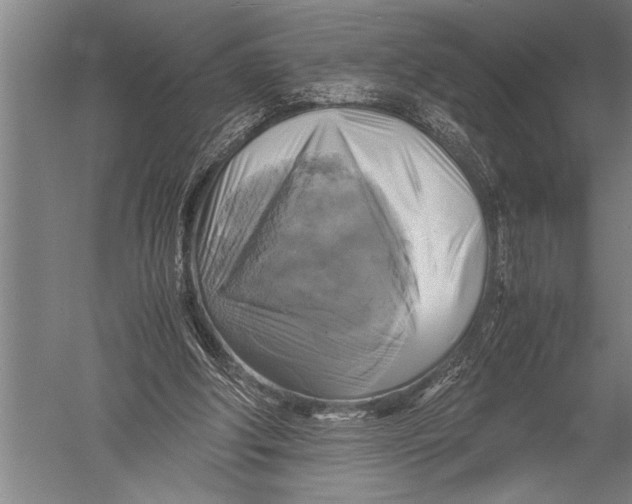 X0000051240202200507082133